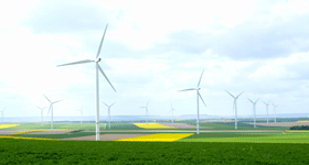champs eoliennes