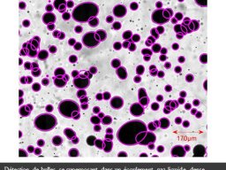 granulo_detection_bulles__cea_2026