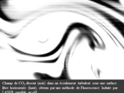 Diagnostics Moléculaires &raquo; PLIF